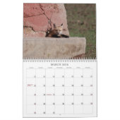 Fox 2011 kalender (Mär 2026)