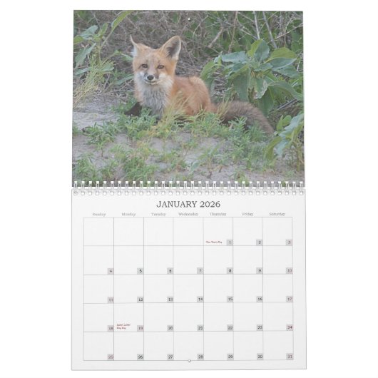 Fox 2011 kalender (Jan 2026)
