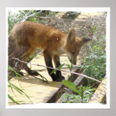 Fox 2 poster (Vorne)