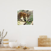 Fox 2 poster (Küche)