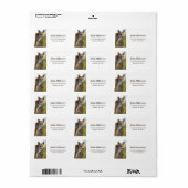 Fox-Adresse Adressaufkleber (Vorne)