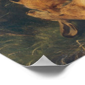 Fox and Hare, 1866 Poster (Ecke)