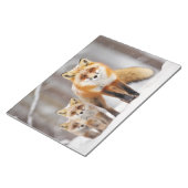 Fox Animal Family Wandering Natout Notizblock (angewinkelt)