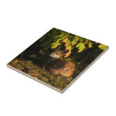 Fox-Blätter und Schatten Fliese (Seite)