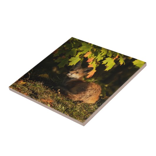 Fox-Blätter und Schatten Fliese (Seite)