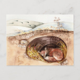 Fox Borrow Postkarte