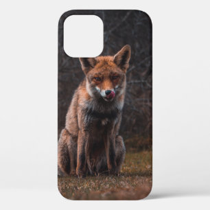 FOX Case-Mate iPhone HÜLLE