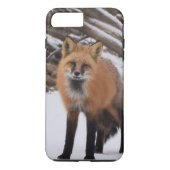 Fox Case-Mate iPhone Hülle (Rückseite)