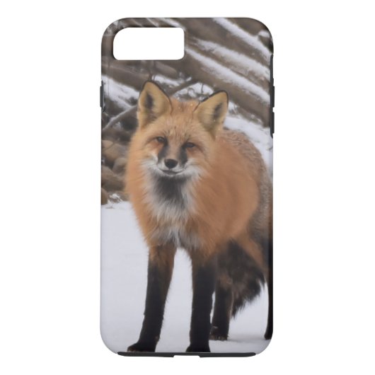 Fox Case-Mate iPhone Hülle (Rückseite)