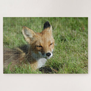 Fox Close, Brooks Falls Alaska Puzzle