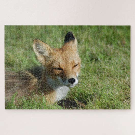 Fox Close, Brooks Falls Alaska Puzzle (Horizontal)