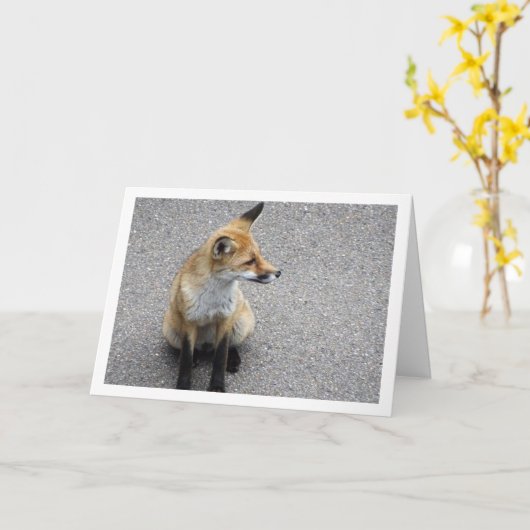 Fox Cub auf Street Portrait Karte (Gelbe Blume)