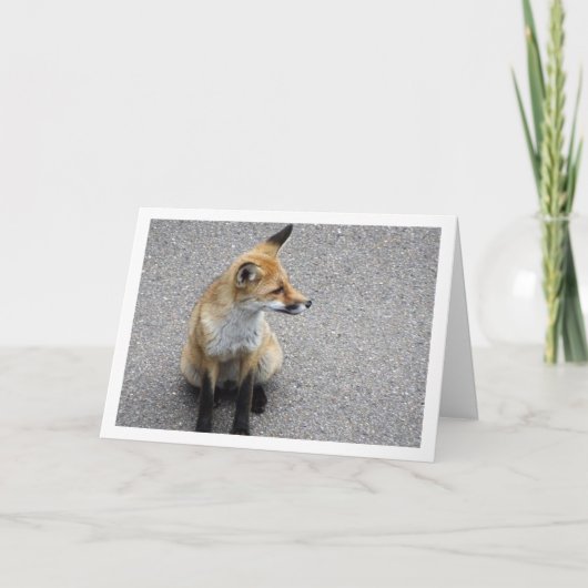 Fox Cub auf Street Portrait Karte (Vorderseite)
