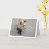 Fox Cub auf Street Portrait Karte (Gelbe Blume)