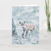 Fox Cub im Schnee Karte (Vorderseite)