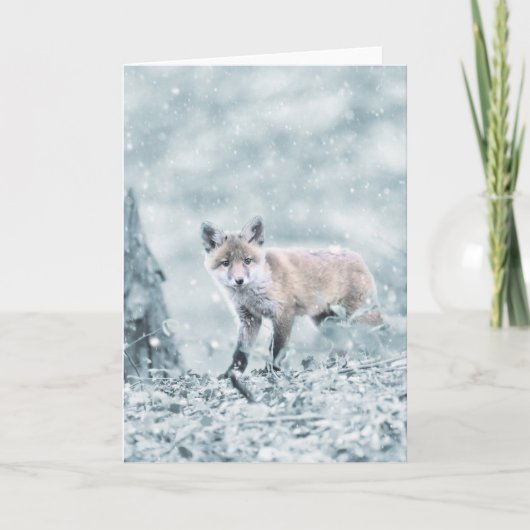 Fox Cub im Schnee Karte (Vorderseite)