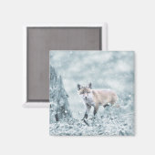 Fox Cub im Schnee Magnet (Vorderseite/Rückseite)