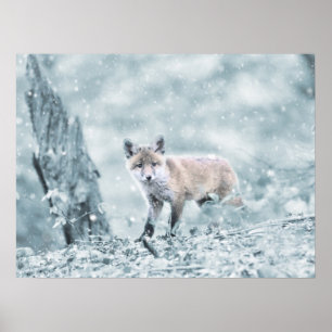 Fox Cub im Schnee Poster