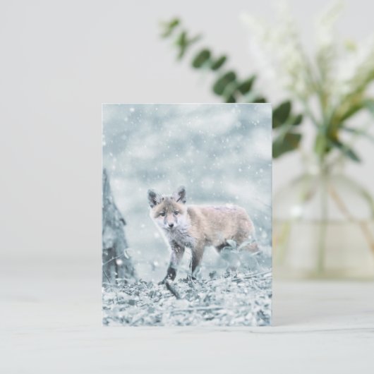 Fox Cub im Schnee Postkarte (Stehend Vorderseite)