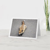 Fox Cub Lay auf Street Portrait Karte (Vorderseite)