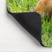 Fox Cub Mousepad (Ecke)