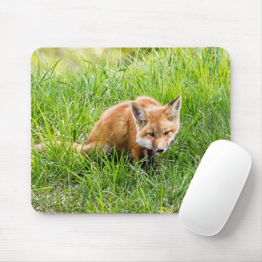 Fox Cub Mousepad (Mit Mouse)