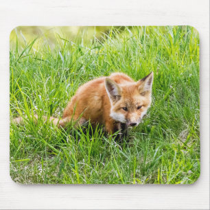 Fox Cub Mousepad