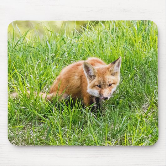 Fox Cub Mousepad (Vorne)