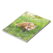Fox Cub Notizblock (Rotiert)