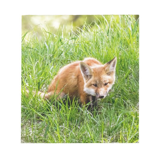 Fox Cub Notizblock (Vorderseite)
