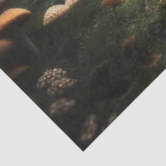 Fox Cuddle in Misty Forest Seidenpapier (Ausschnitt)