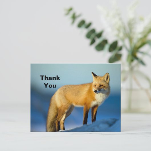 Fox Danke Postkarte (Stehend Vorderseite)