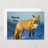 Fox Danke Postkarte (Vorne/Hinten)