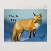 Fox Danke Postkarte (Vorderseite)