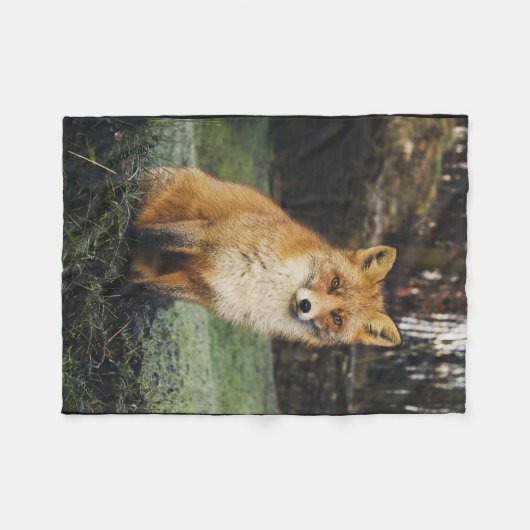 fox Decke, foxy Wurf, Fuchsjungs-Wurfsdecke Fleecedecke (Vorderseite (Horizontal))