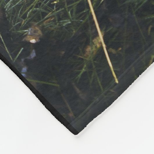 fox Decke, foxy Wurf, Fuchsjungs-Wurfsdecke Fleecedecke (Ecke)