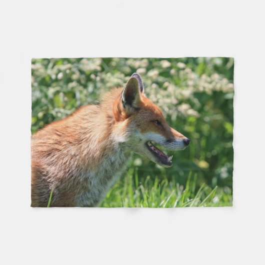 fox Decke, foxy Wurf, Fuchsjungs-Wurfsdecke Fleecedecke (Vorderseite (Horizontal))
