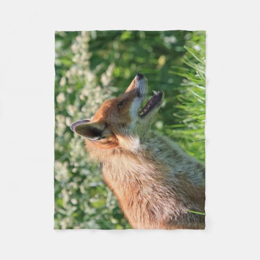 fox Decke, foxy Wurf, Fuchsjungs-Wurfsdecke Fleecedecke (Vorderseite)