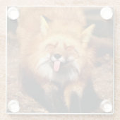 Fox, der es haftet, ist Zunge heraus Glasuntersetzer (Rückseite)