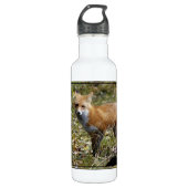 Fox Edelstahlflasche (Vorderseite)