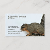 Fox Eichhörnchen auf Schneebaum Visitenkarte (Rückseite)