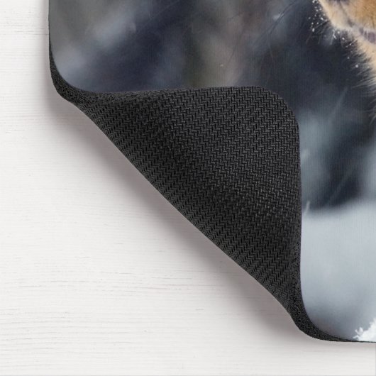 Fox-Eichhörnchen im Winter Mousepad (Ecke)