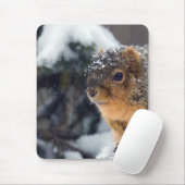 Fox-Eichhörnchen im Winter Mousepad (Mit Mouse)