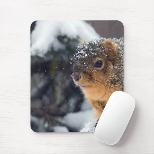 Fox-Eichhörnchen im Winter Mousepad (Mit Mouse)