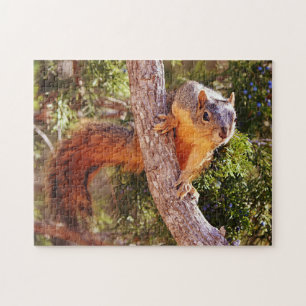 Fox Eichhörnchen Natur Tierpuzzle Puzzle
