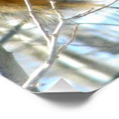 Fox Eichhörnchenprofil Poster (Ecke)