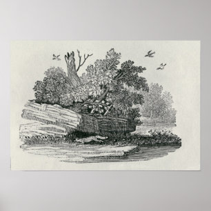 Fox entkommt,'Die allgemeine Geschichte Poster