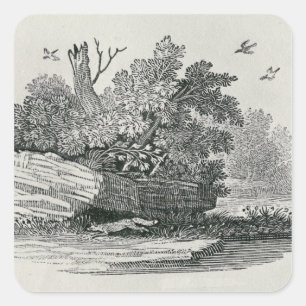 Fox entkommt,'Die allgemeine Geschichte Quadratischer Aufkleber