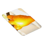 Fox Face Fruit Magnet (Rechte Seite)