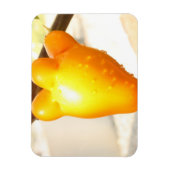 Fox Face Fruit Magnet (Vertikal)